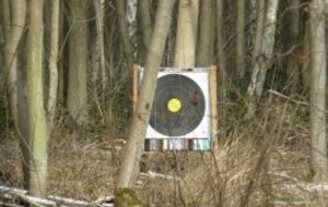 Résultats (suite -Championnat France Tir campagne 