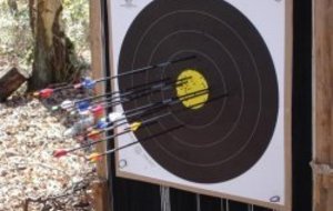 TIR EN CAMPAGNE 8 &amp; 9 MARS 2008