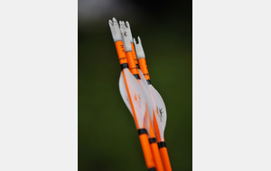 Théléthon ce samedi au gymnase