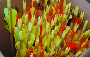 Ouverture du Gymnase ce jeudi