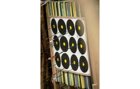 TIR EN CAMPAGNE 2010