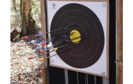 TIR EN CAMPAGNE 8 &amp; 9 MARS 2008